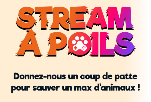 page d'accueil de Société Protectrice des Animaux