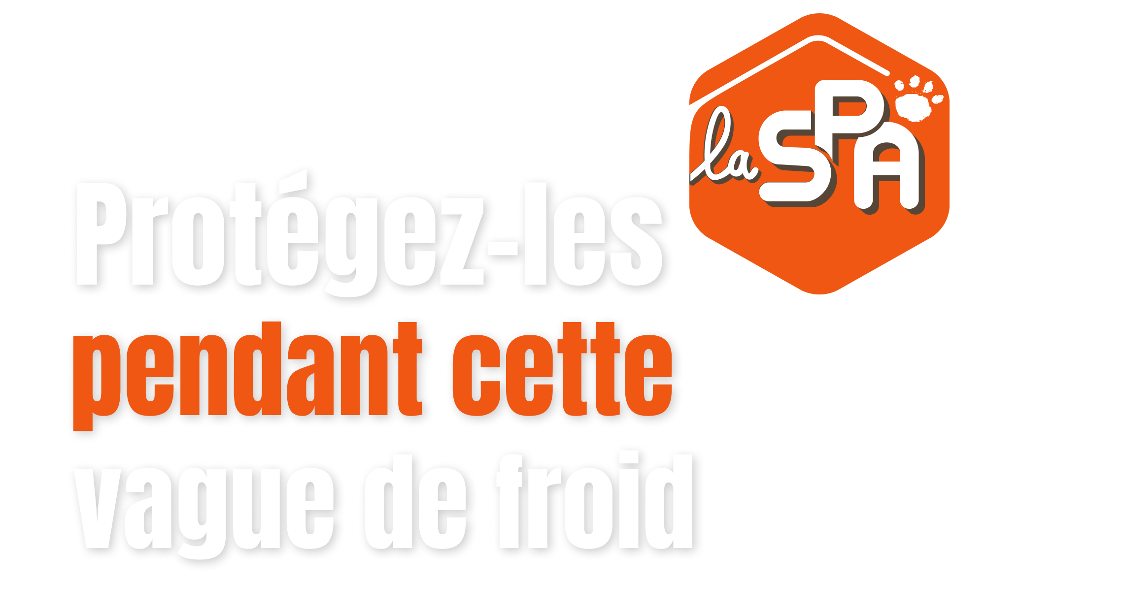 Société Protectrice des Animaux